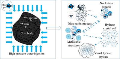 Study of the Effect of the Driving Force on the Kinetics of CO2 Hydrate Growth in Coal Particles